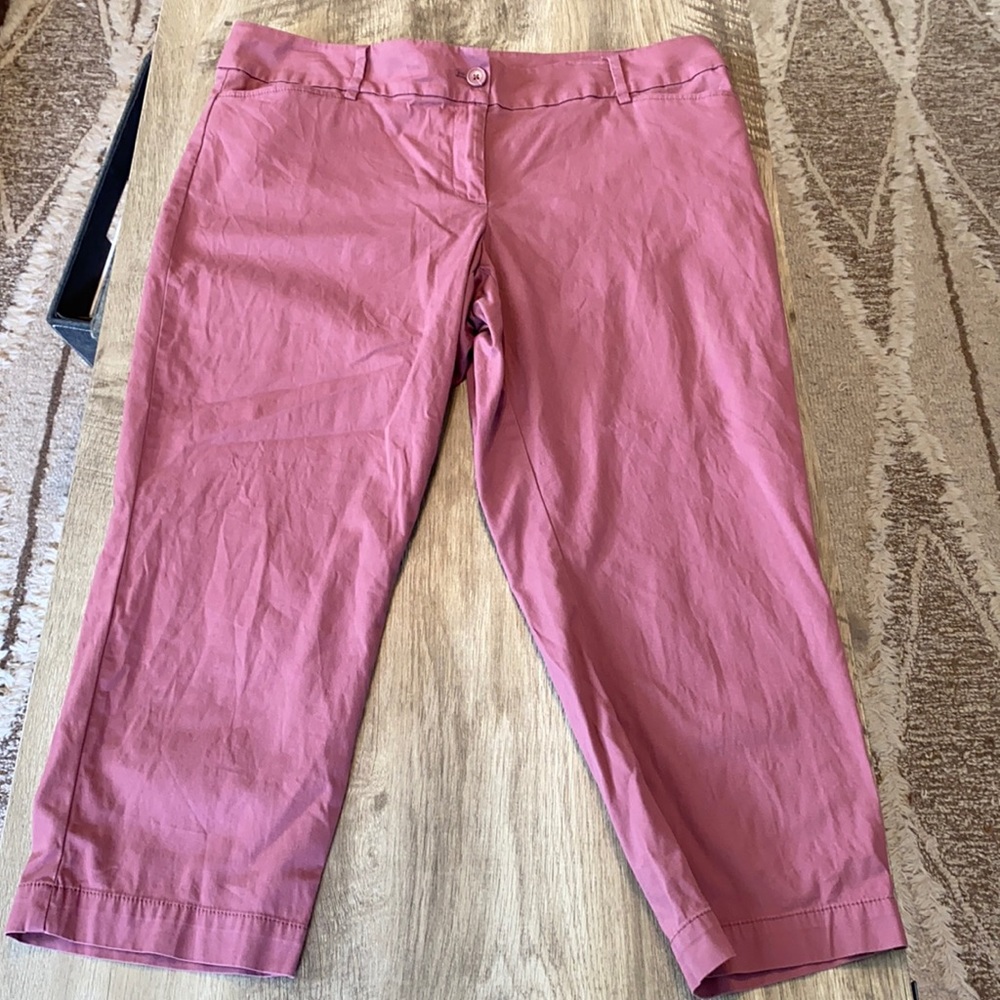 LOFT Rose Pink Ankle Cropped Pants